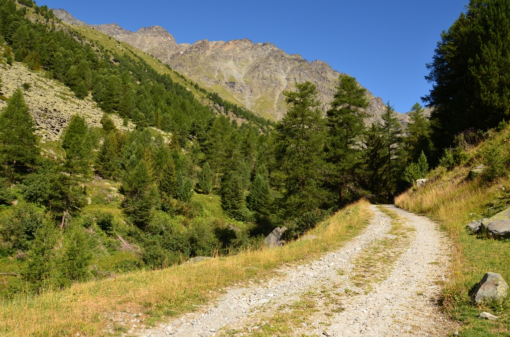 2015-07 Savoie/Orgère/DSC_0230.JPG